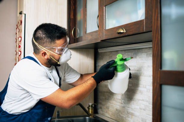 Best Best Pest Control Companies  in Hummelstown, PA
