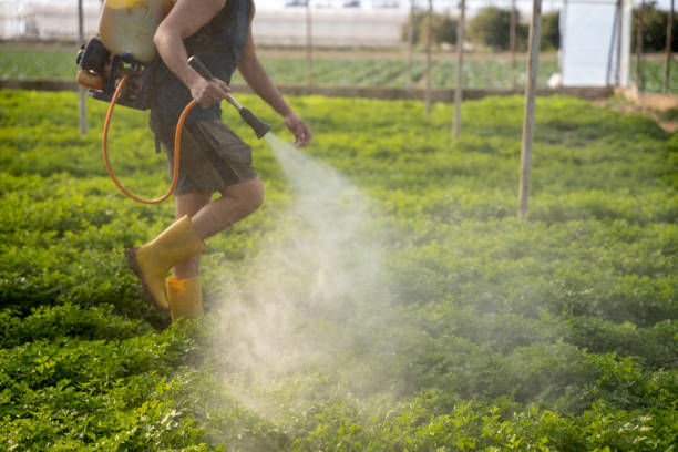 Best Local Pest Control Services  in Hummelstown, PA
