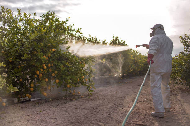 Best Best Pest Control Companies  in Hummelstown, PA