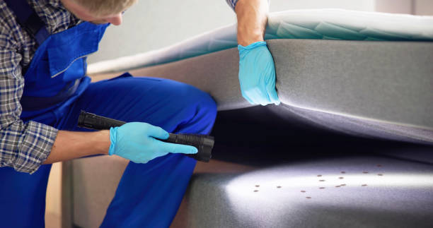 Best Wasp Removal Services  in Hummelstown, PA
