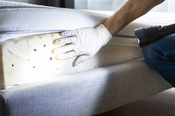 Best Pest Control Near Me  in Hummelstown, PA