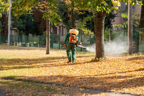Best Pest Prevention Services  in Hummelstown, PA