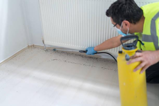 Best Residential Pest Control  in Hummelstown, PA